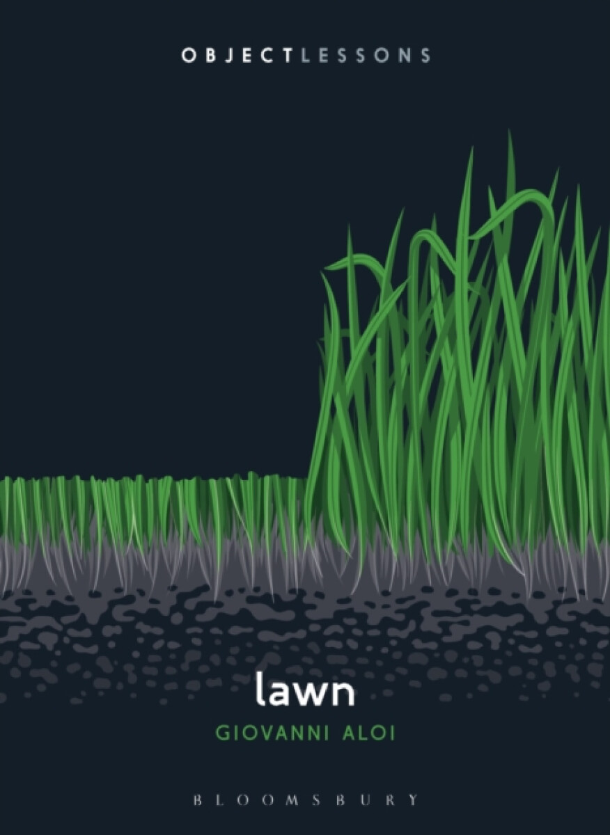 Kniha Lawn