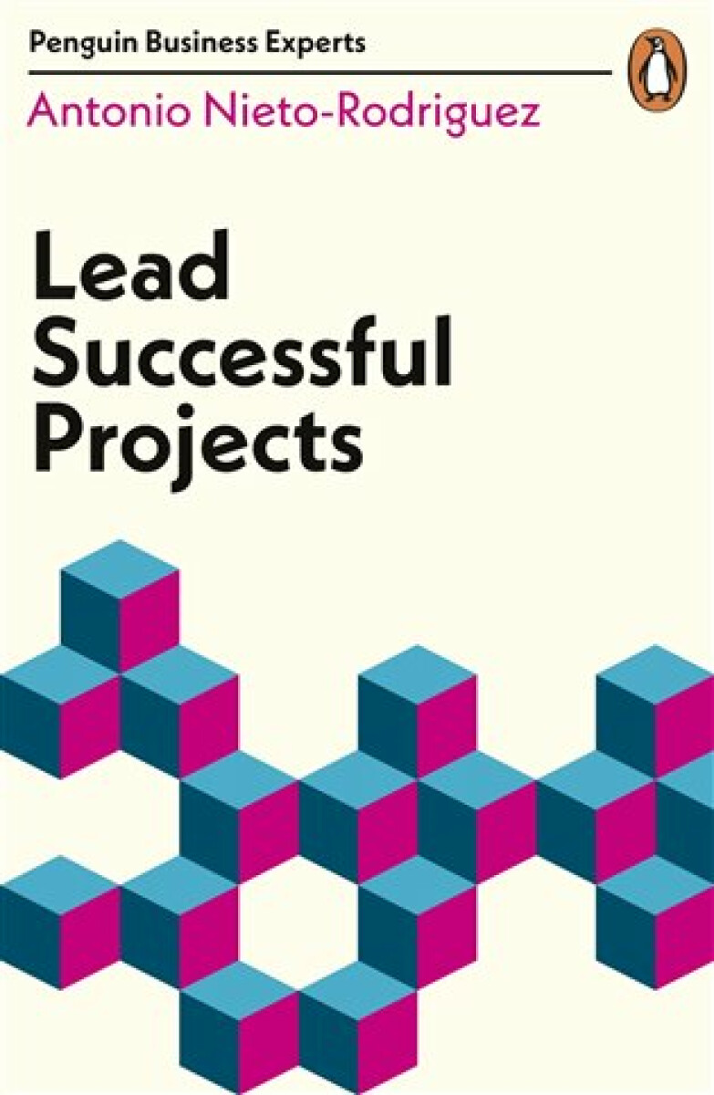 Kniha Lead Successful Projects