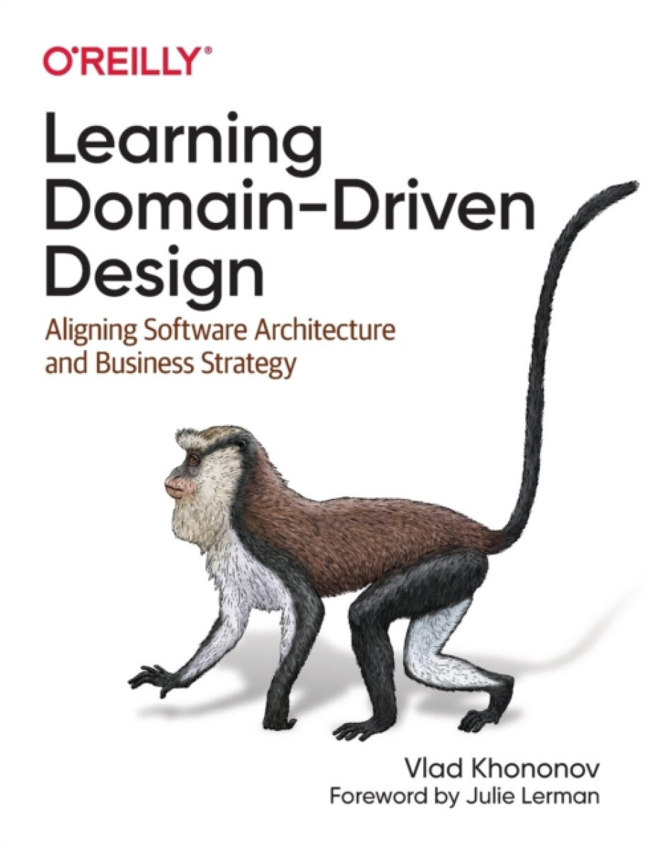 Kniha Learning Domain-Driven Design