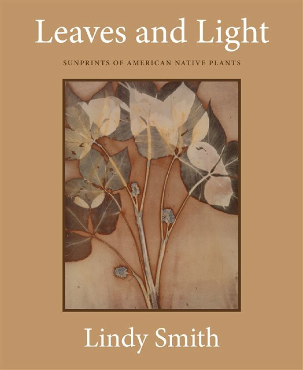 Levně Leaves and Light