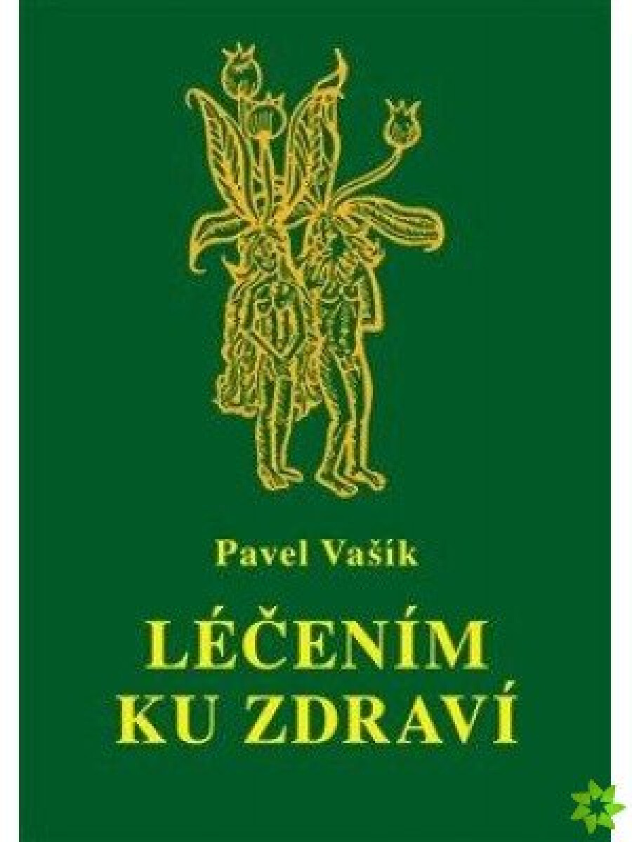 Levně Léčením ku zdraví - Pavel Vašík
