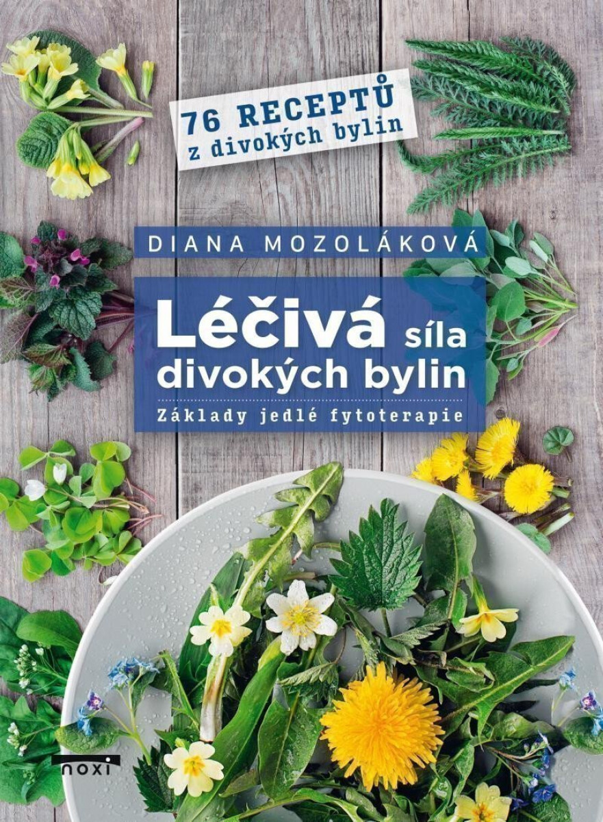 Kniha Léčivá síla divokých bylin
