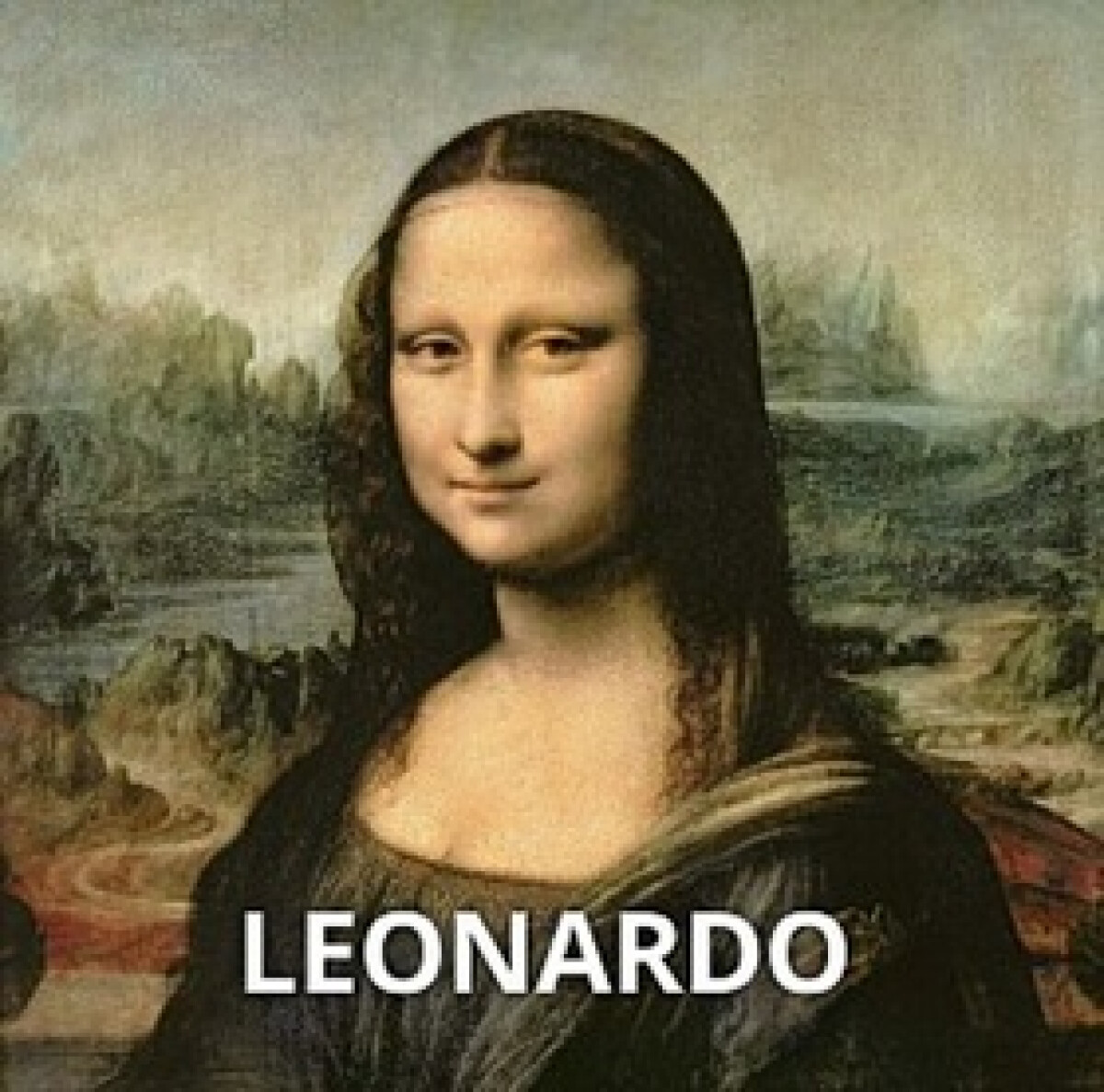 Kniha Leonardo