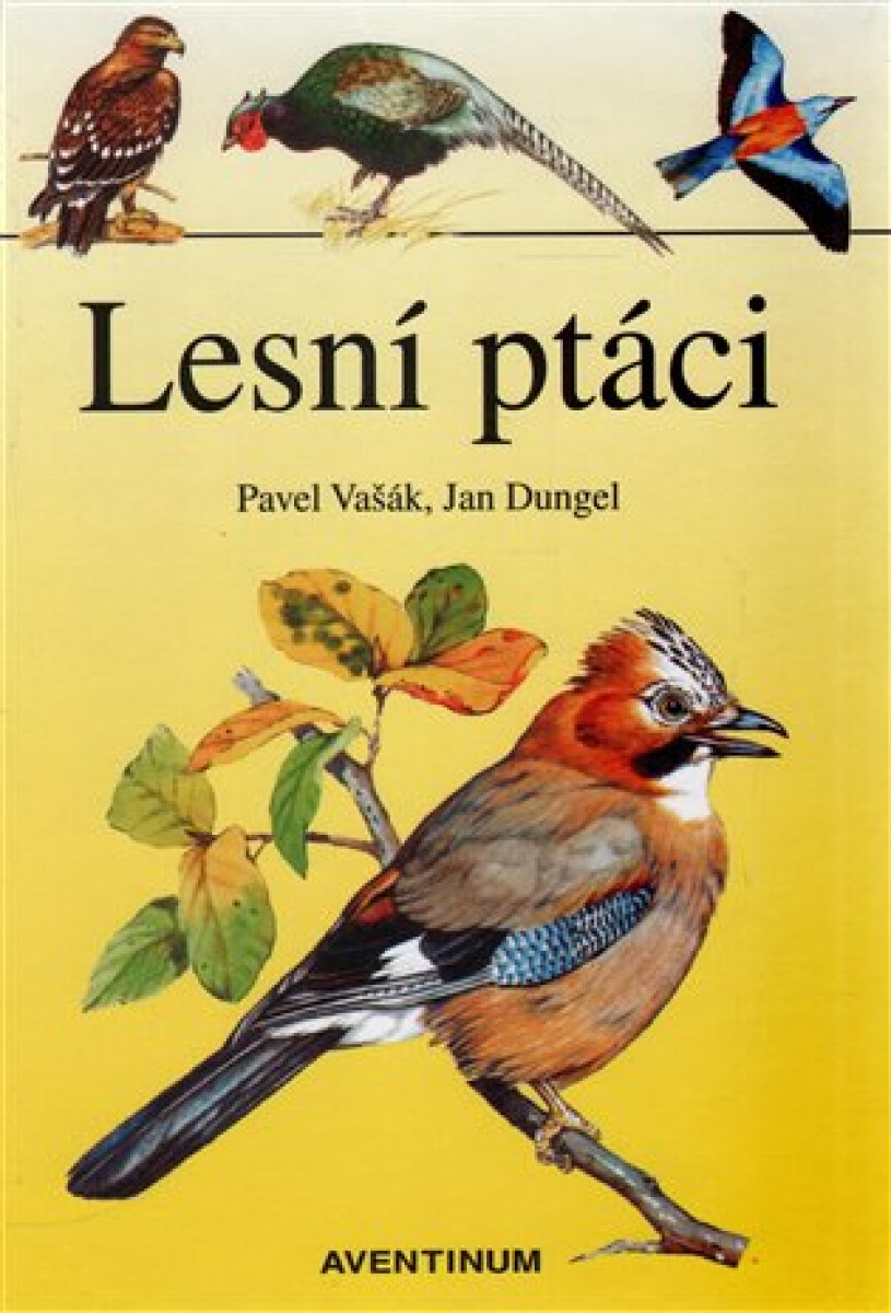 Kniha Lesní ptáci