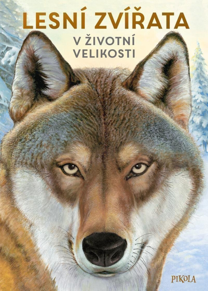 Kniha Lesní zvířata: V životní velikosti