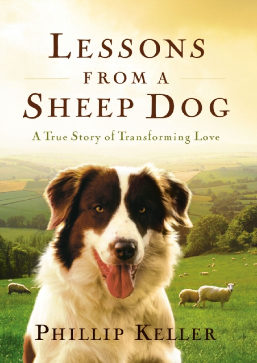 Kniha Lessons from a Sheep Dog