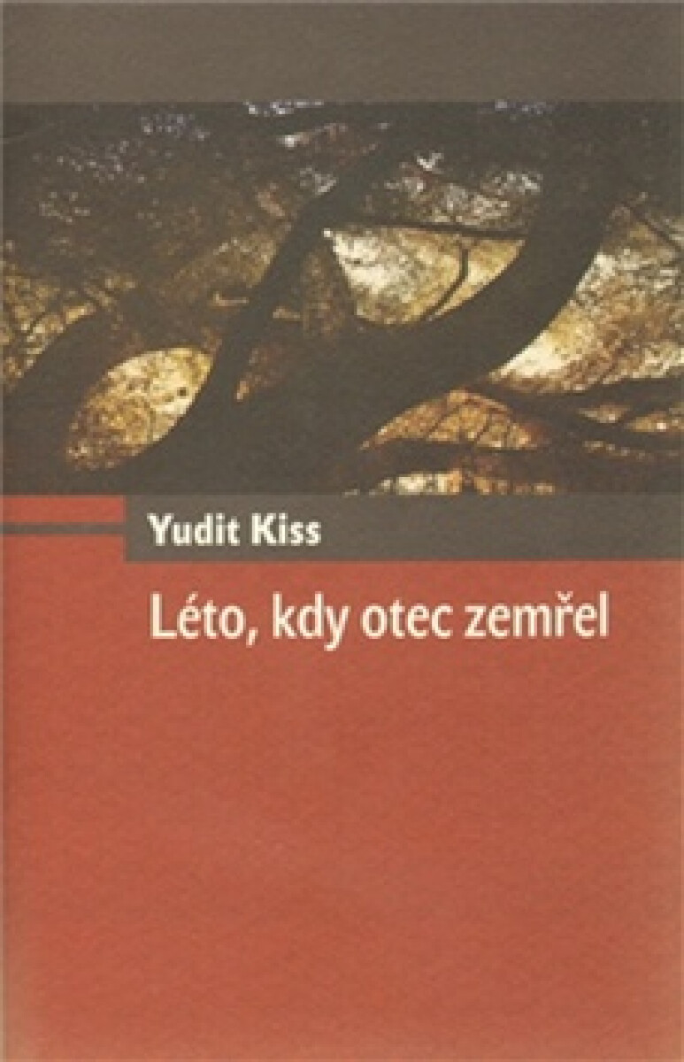 Kniha Léto, kdy otec zemřel