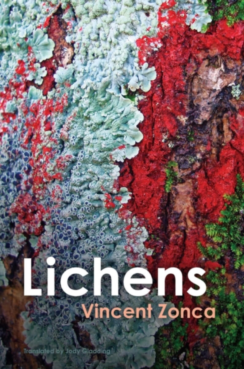 Kniha Lichens