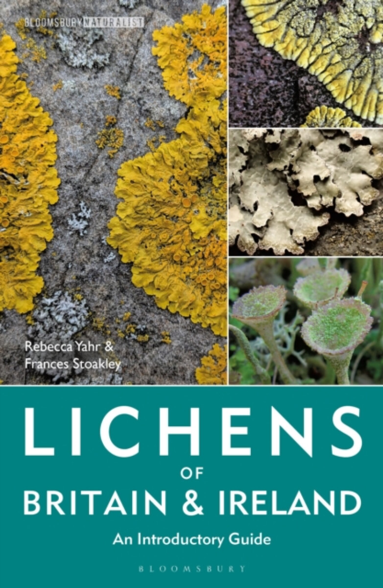 Kniha Lichens of Britain and Ireland