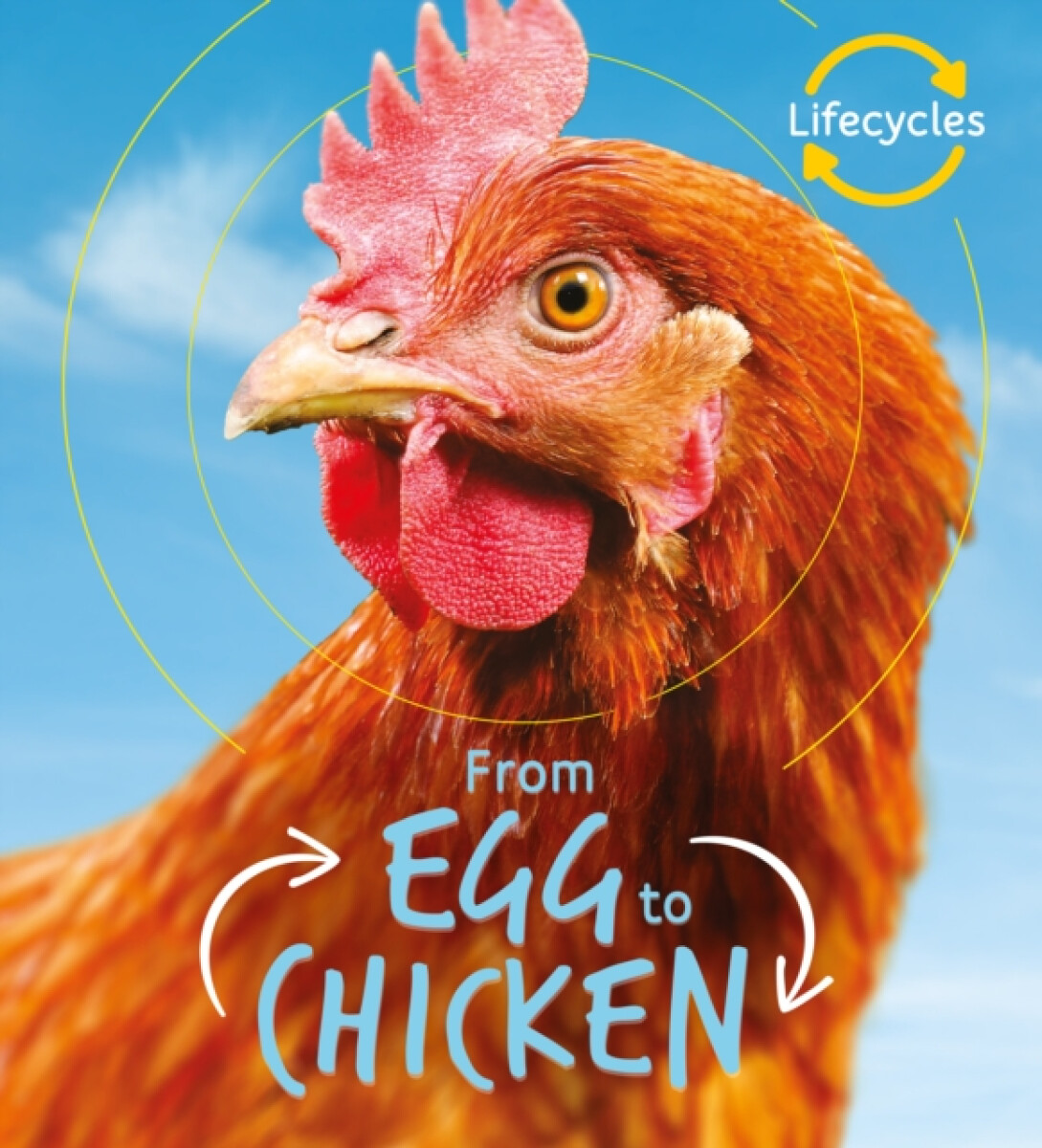 Kniha Lifecycles: Egg to Chicken