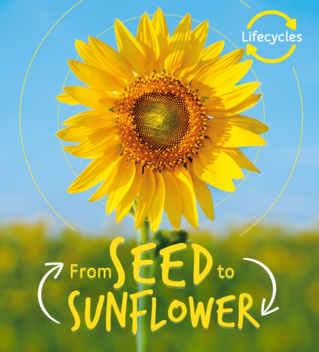 Kniha Lifecycles: Seed to Sunflower
