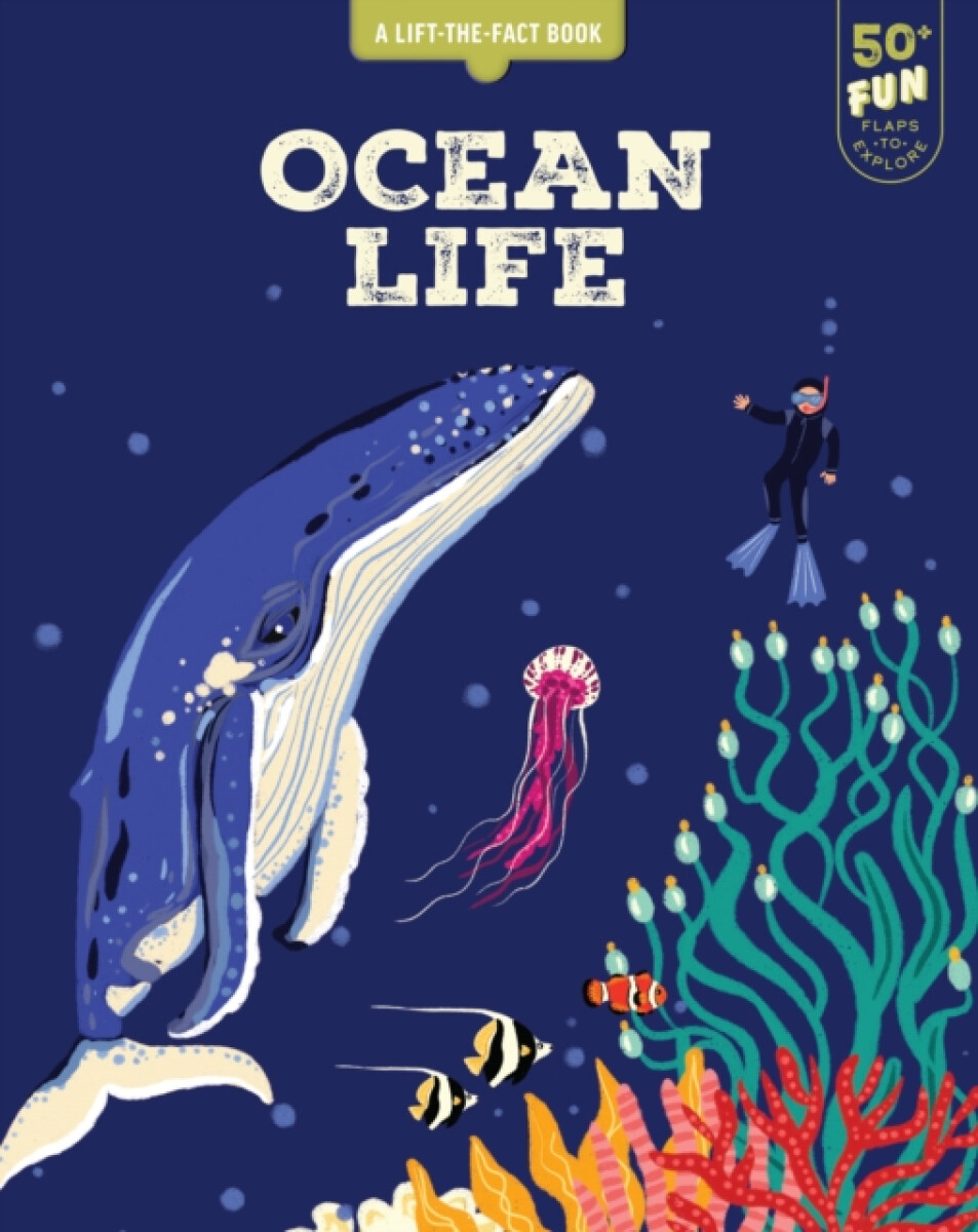 Kniha Ocean Life