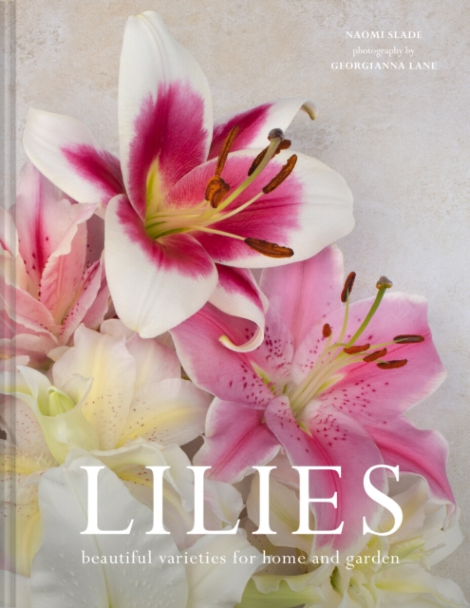 Kniha Lilies