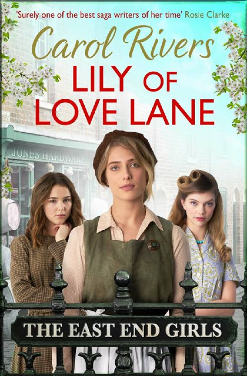 Kniha Lily of Love Lane