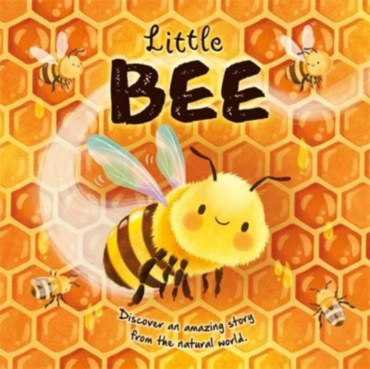 Kniha Little Bee