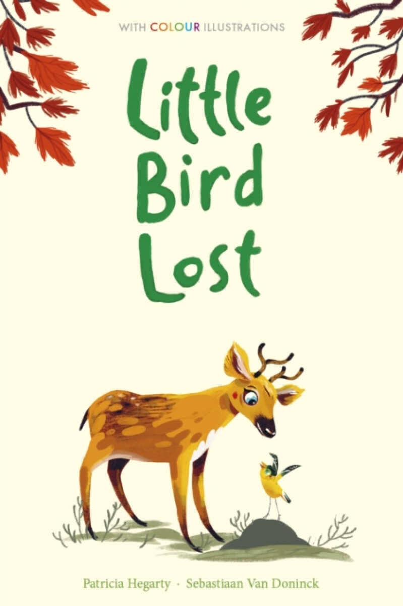 Kniha Little Bird Lost