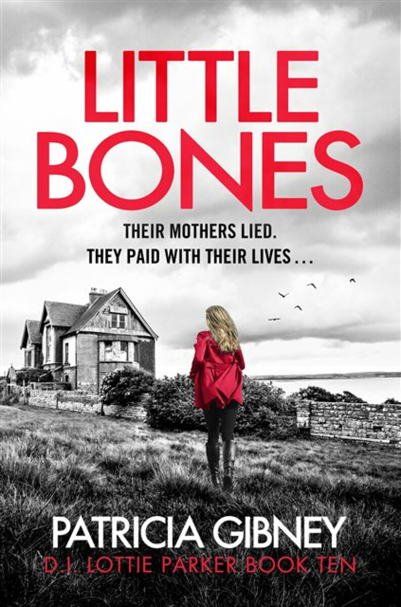 Kniha Little Bones