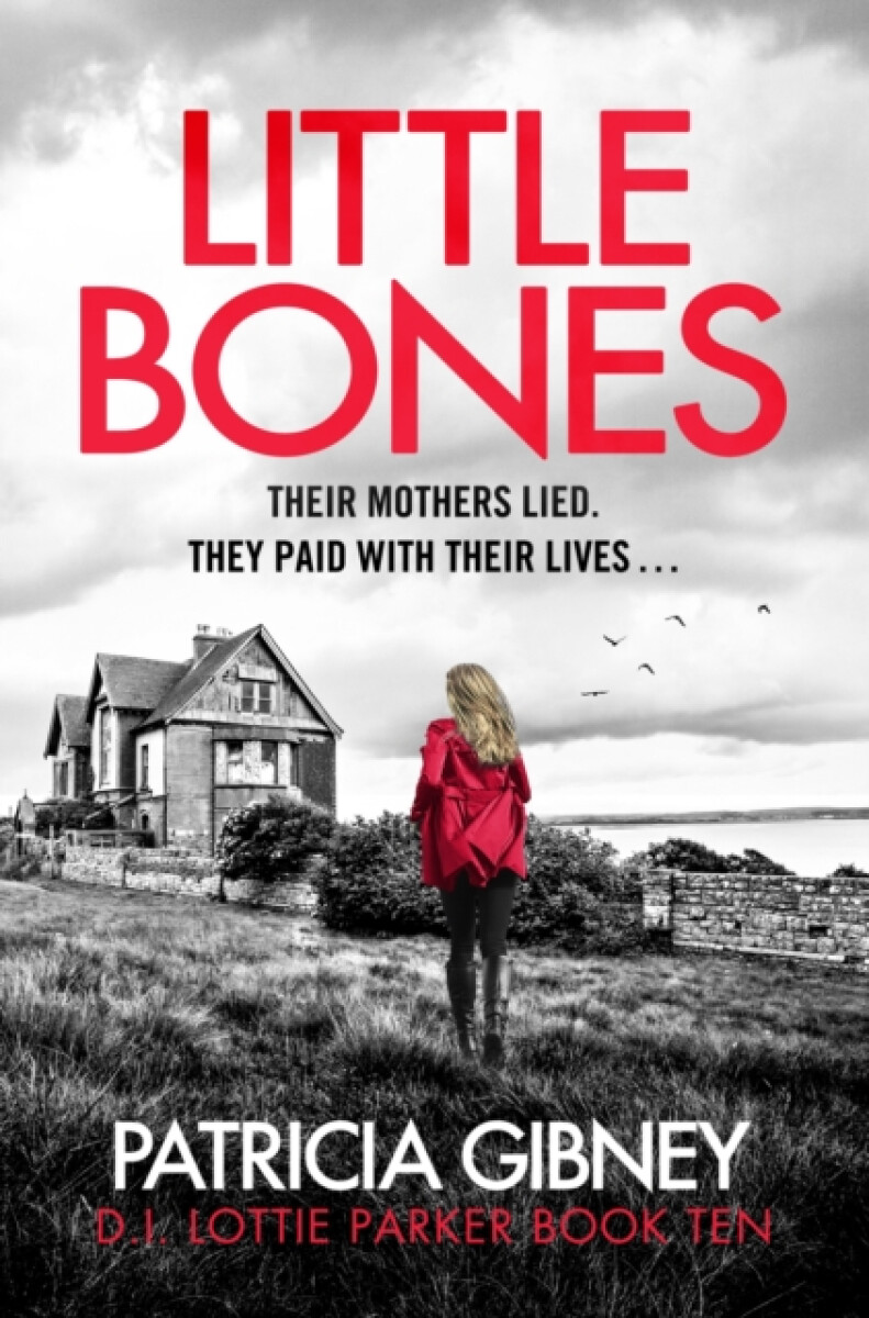 Kniha Little Bones