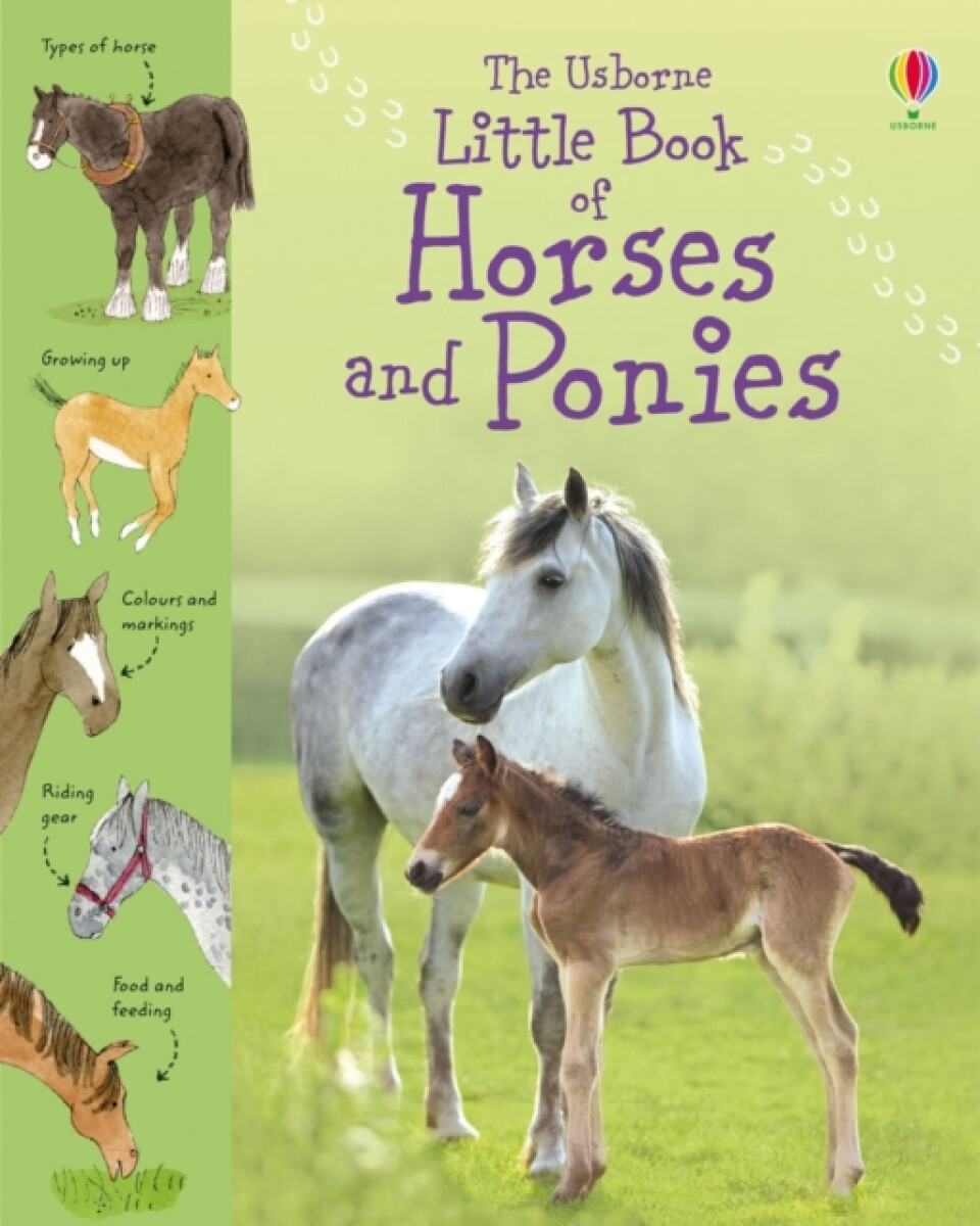 Kniha Little Book of Horses and Ponies