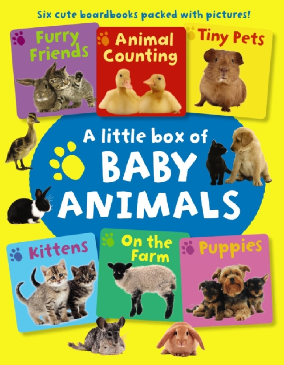 Kniha Little Box of Baby Animals