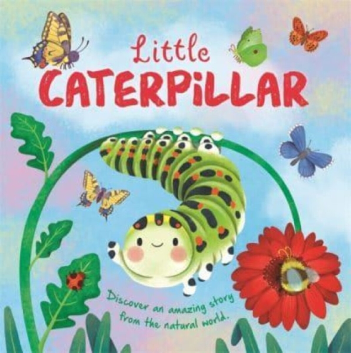 Kniha Little Caterpillar