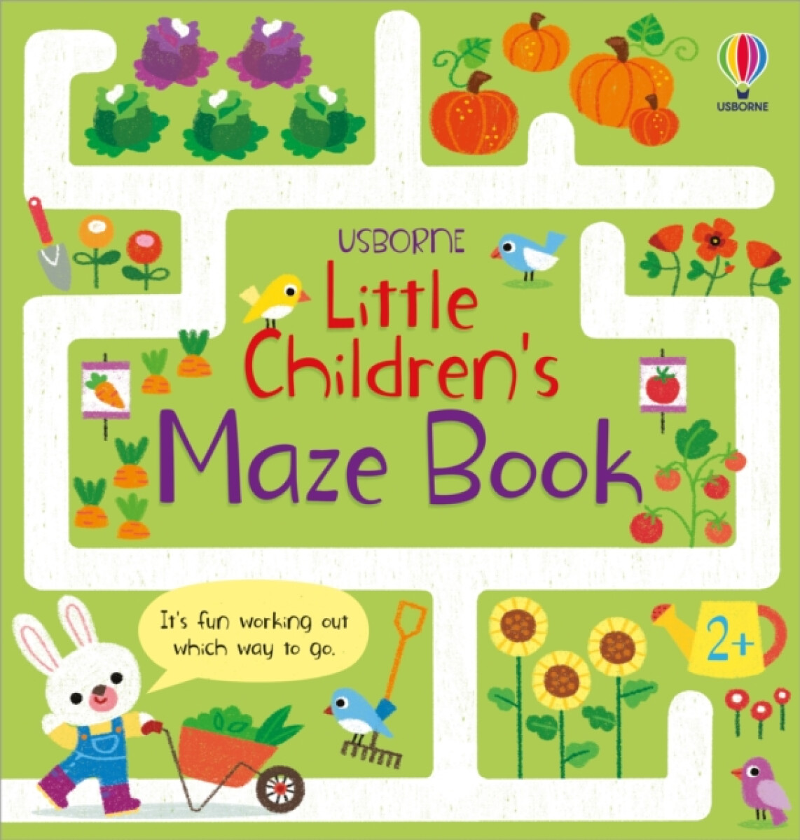 Kniha Little Children's Maze Book