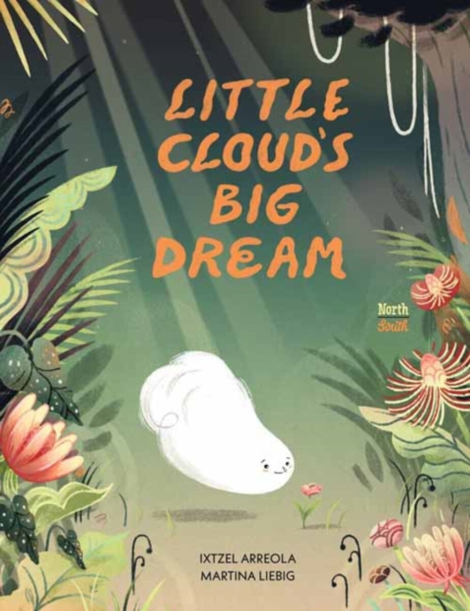 Kniha Little Cloud's Big Dream