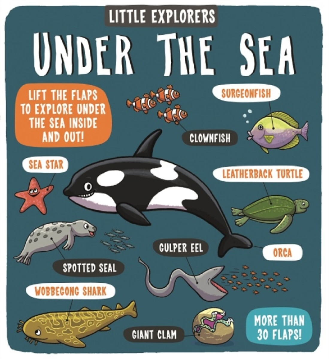 Kniha Little Explorers: Under the Sea