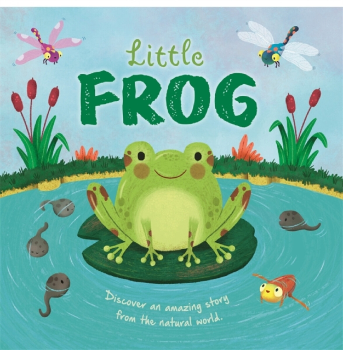 Little Frog - Autumn Publishing