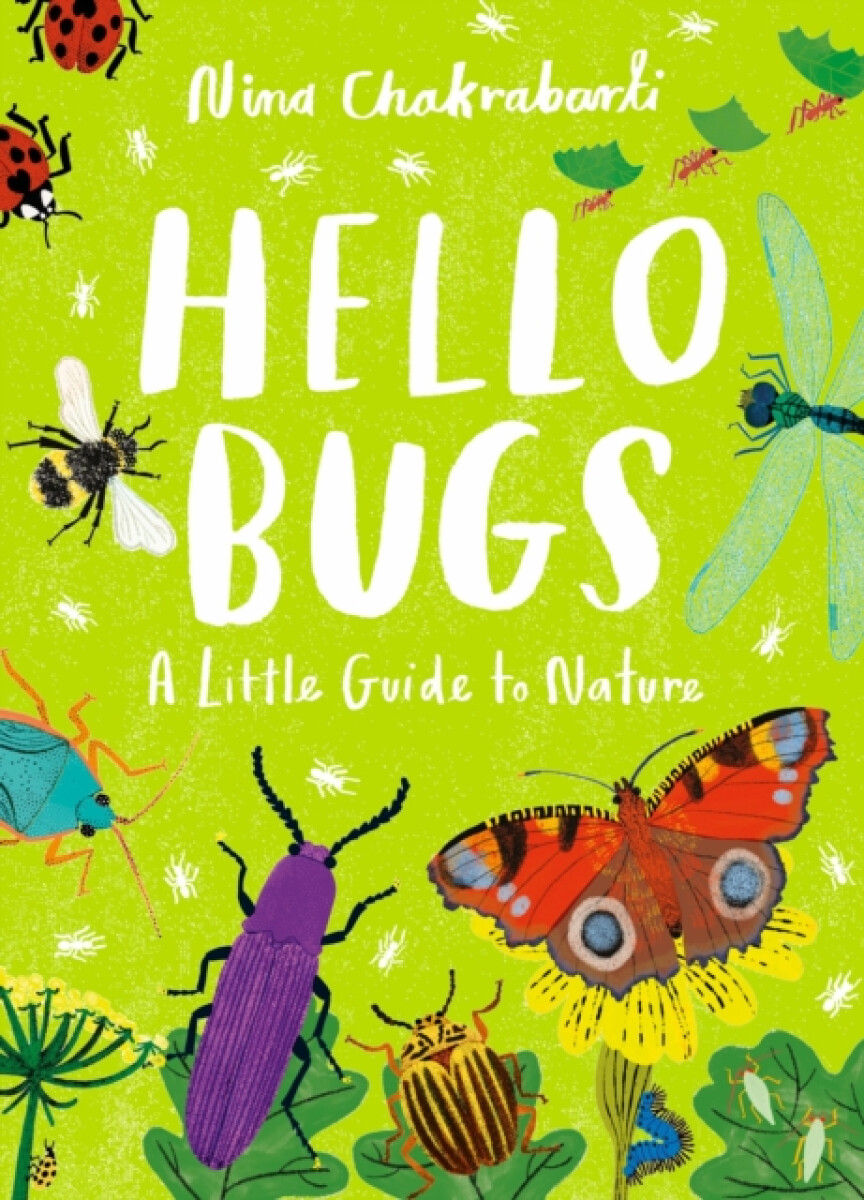 Kniha Little Guides to Nature: Hello Bugs