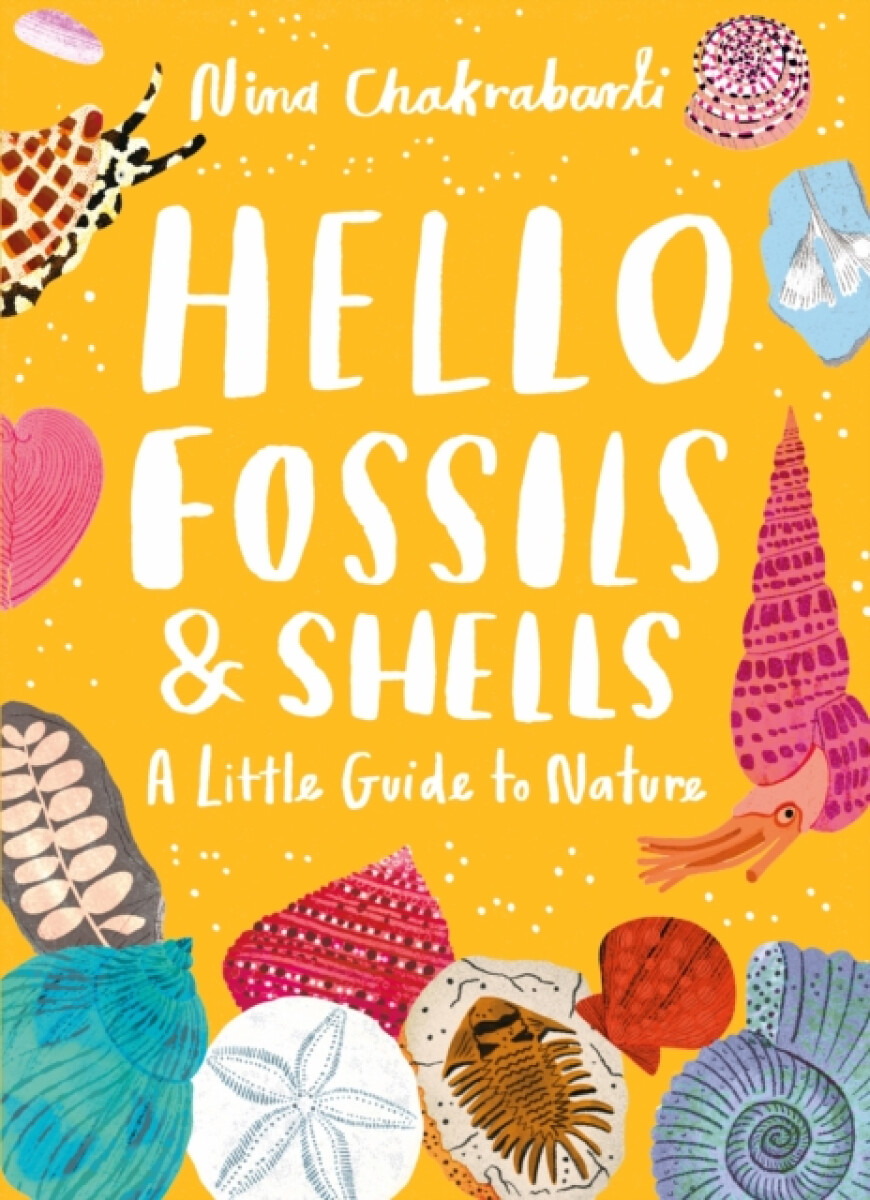 Kniha Little Guides to Nature: Hello Fossils and Shells