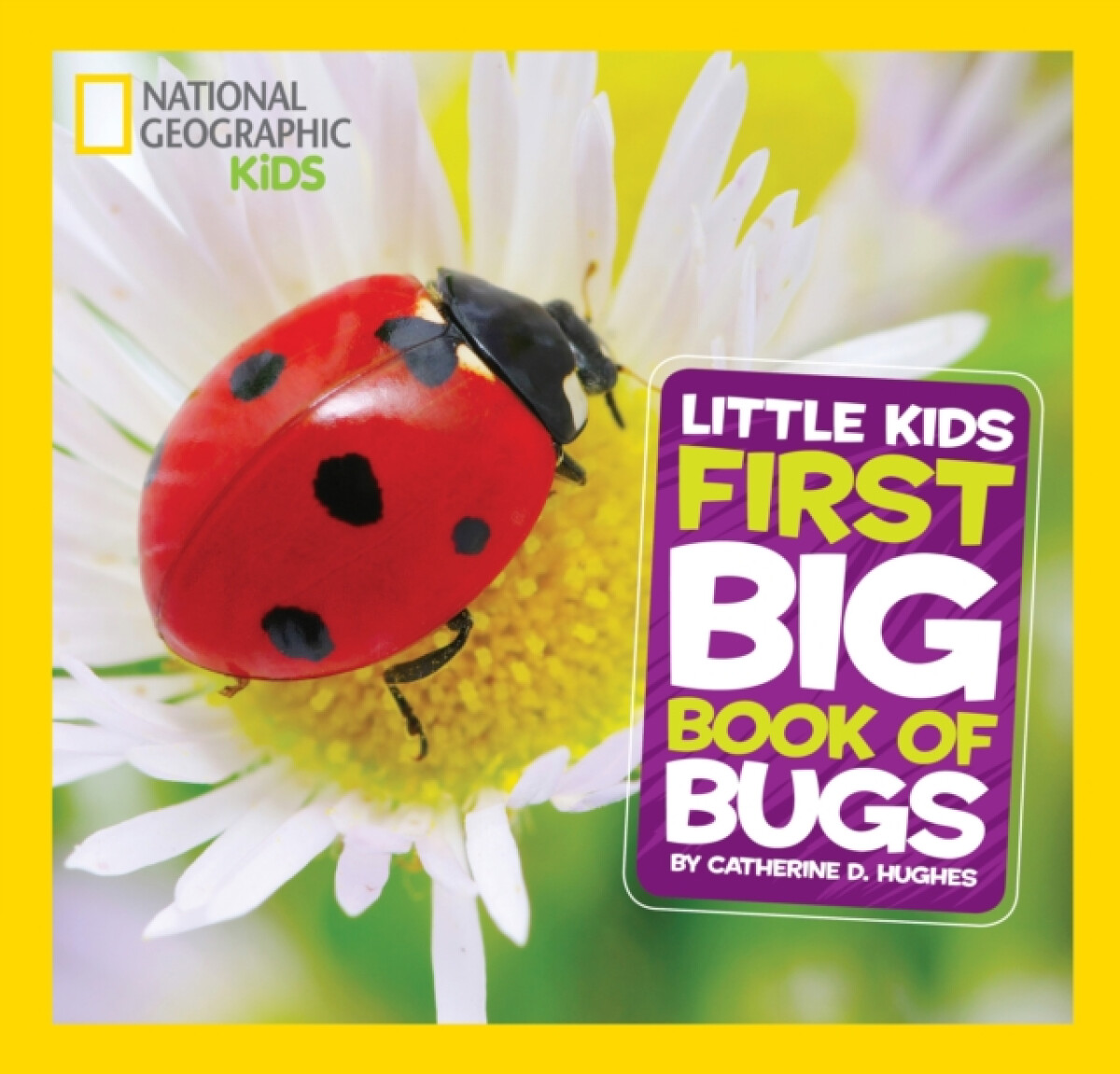 Kniha Little Kids First Big Book of Bugs