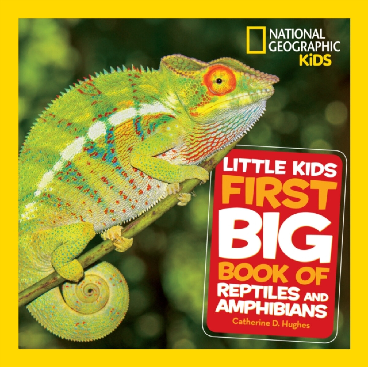 Kniha Little Kids First Big Book of Reptiles and Amphibians