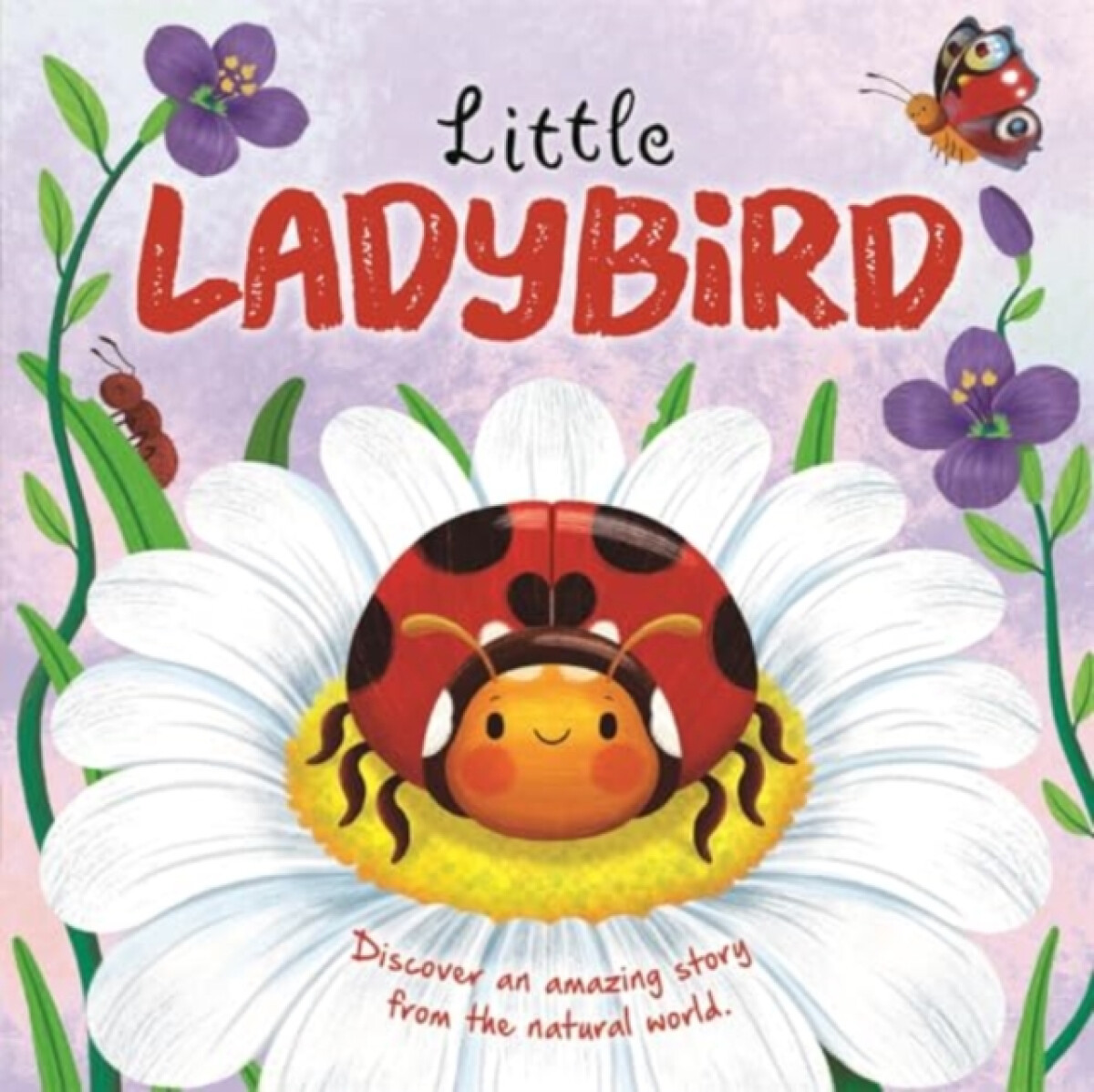 Kniha Little Ladybird