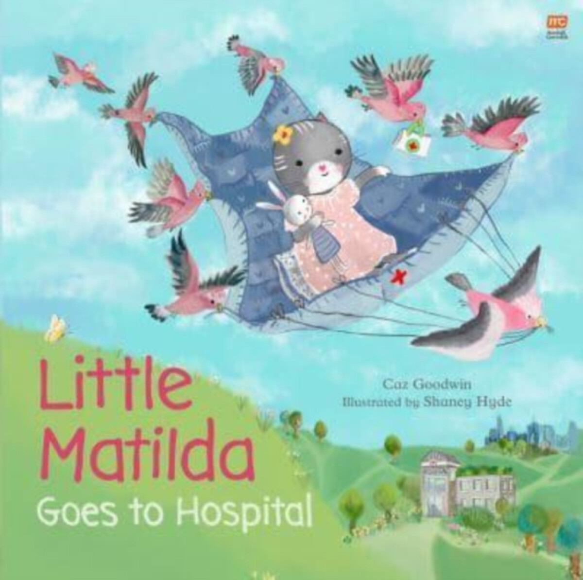 Kniha Little Matilda Goes to Hospital