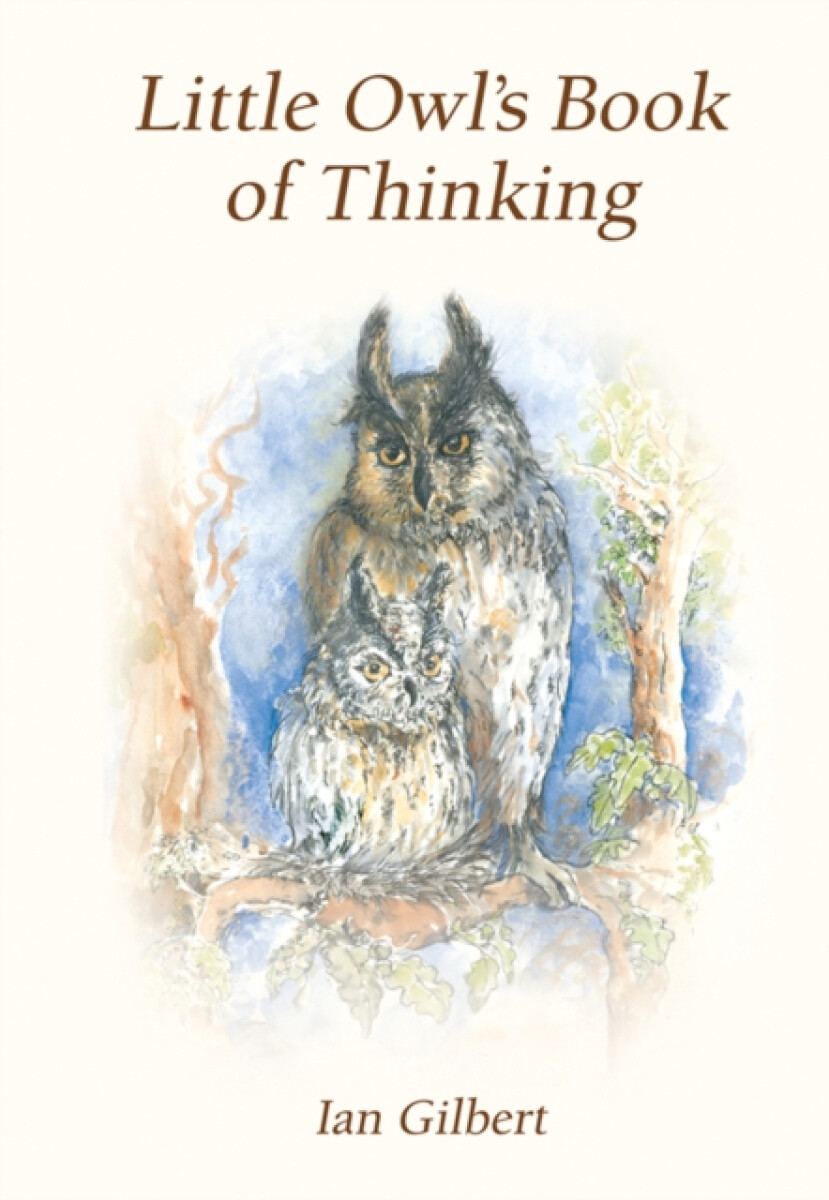 Kniha Little Owl's Book of Thinking
