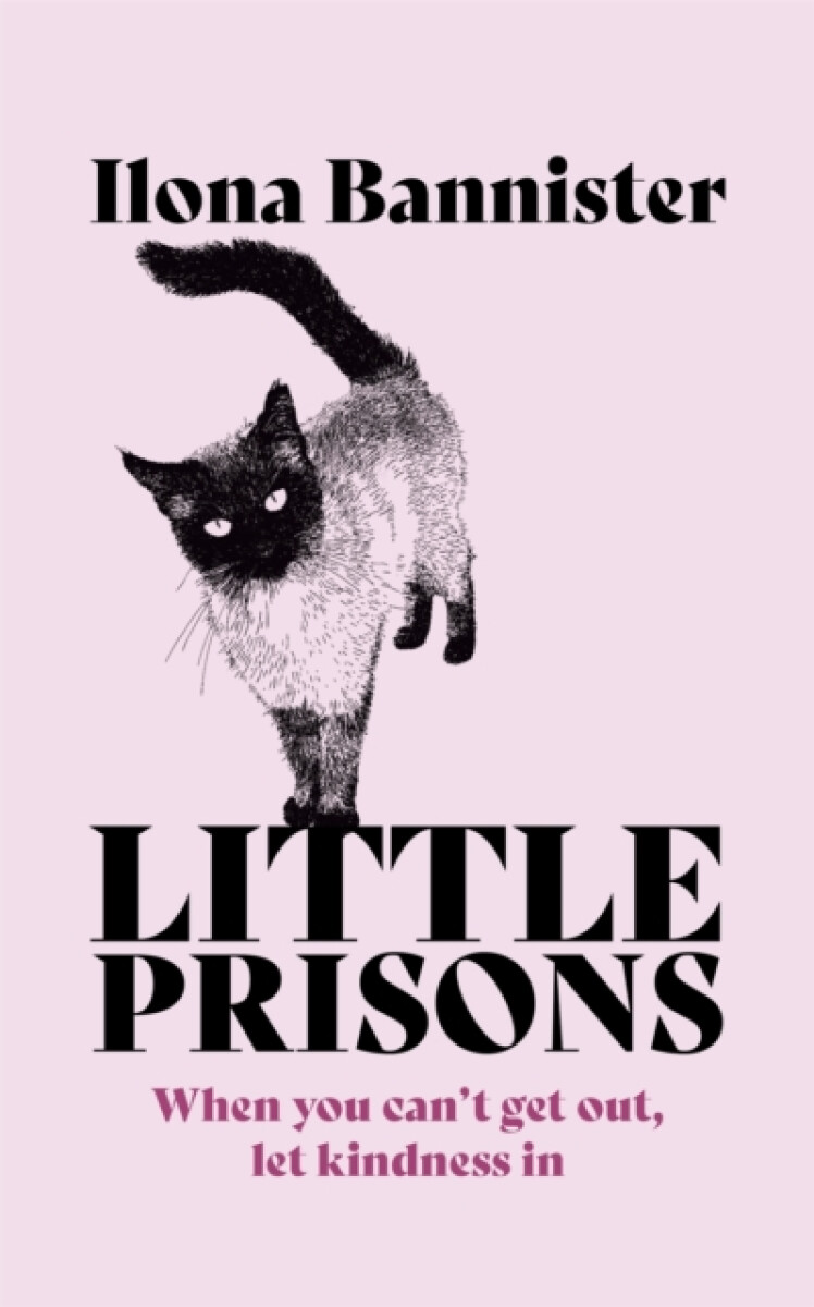 Kniha Little Prisons