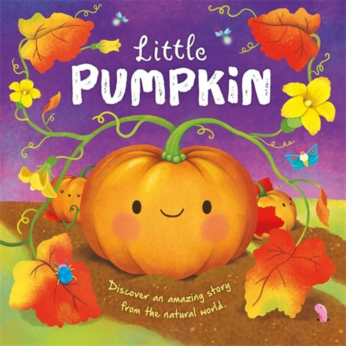 Kniha Little Pumpkin