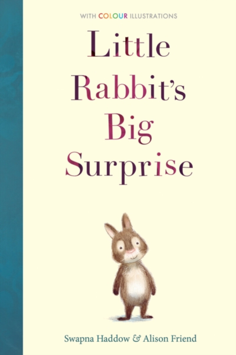 Kniha Little Rabbit's Big Surprise