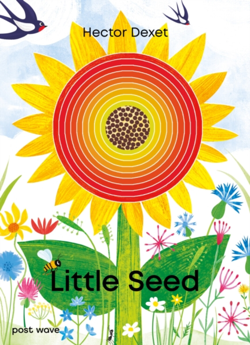 Kniha Little Seed