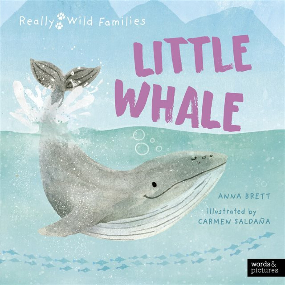 Kniha Little Whale