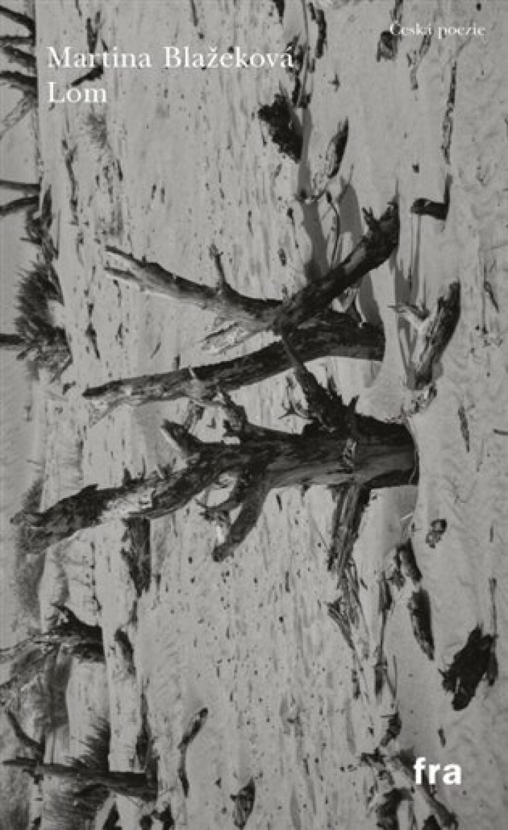 Kniha Lom