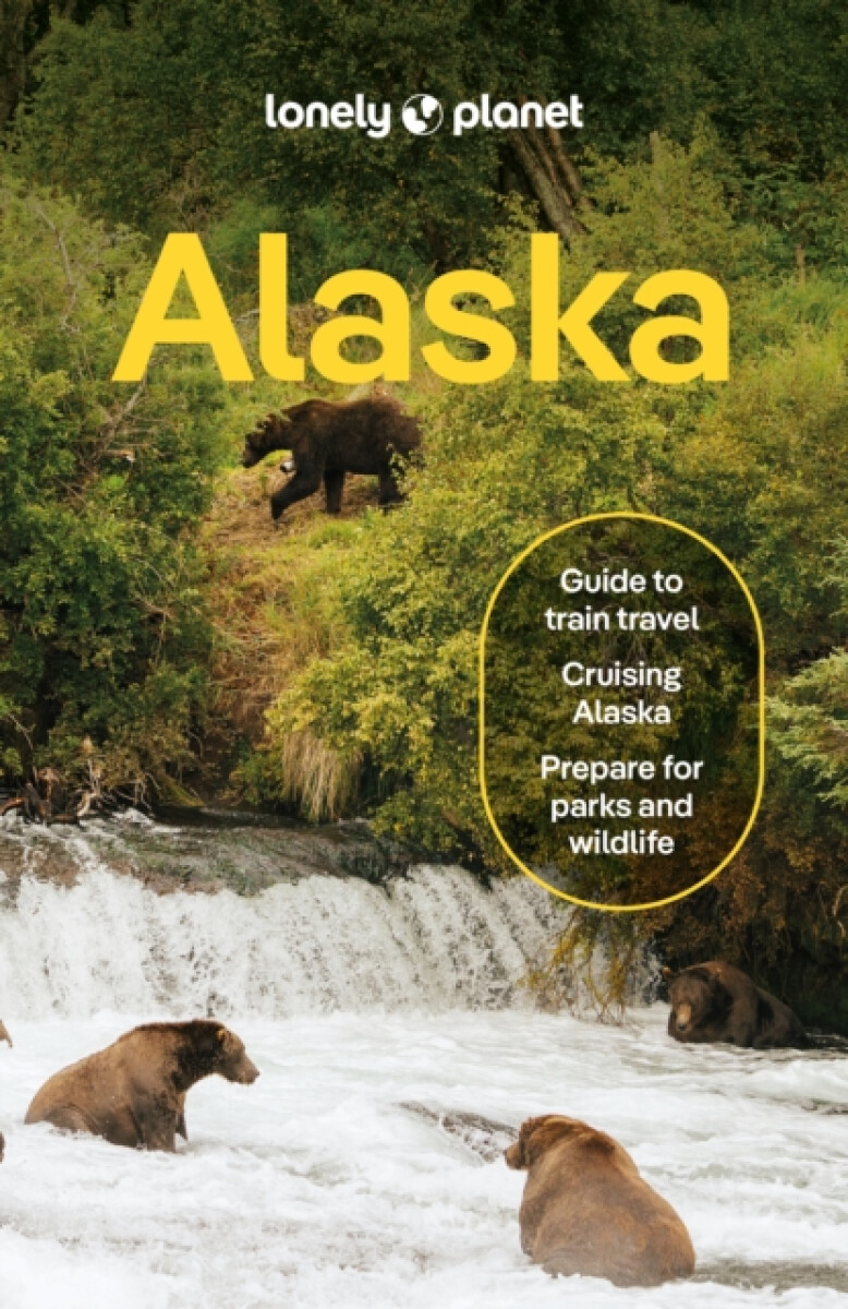 Kniha Lonely Planet Alaska