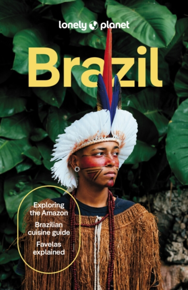 Kniha Lonely Planet Brazil