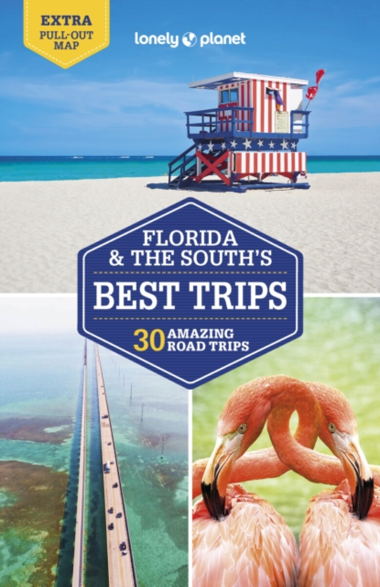 Kniha Lonely Planet Florida a the South's Best Trips