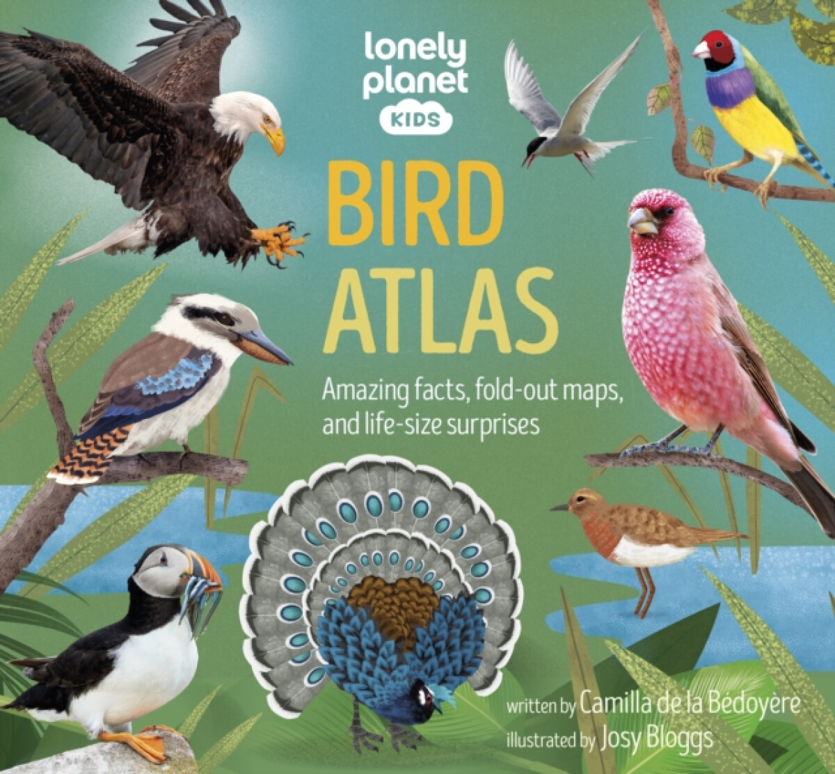 Kniha Lonely Planet Kids Bird Atlas