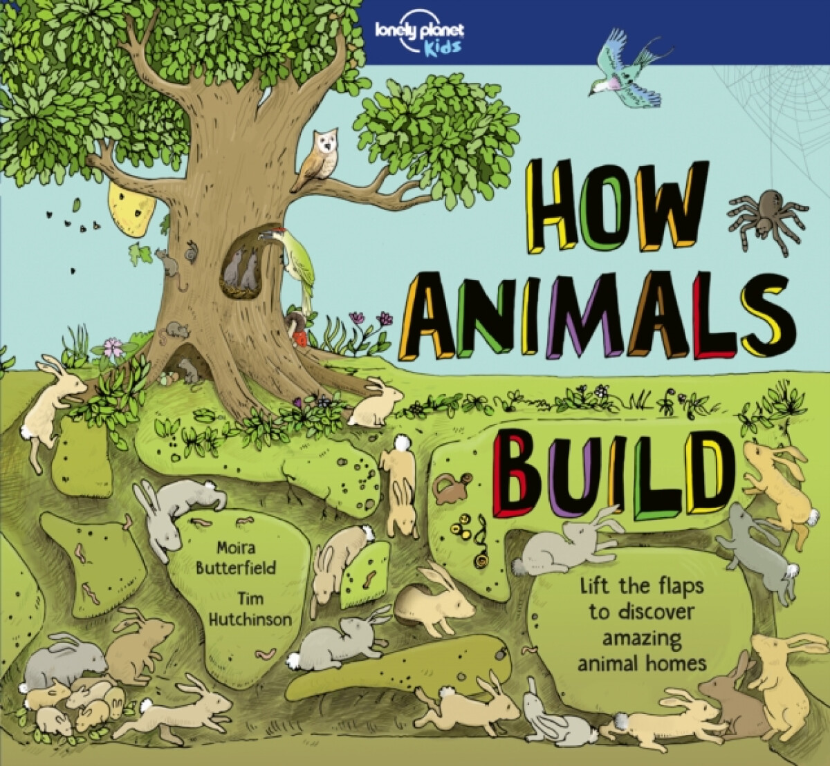 Kniha How Animals Build