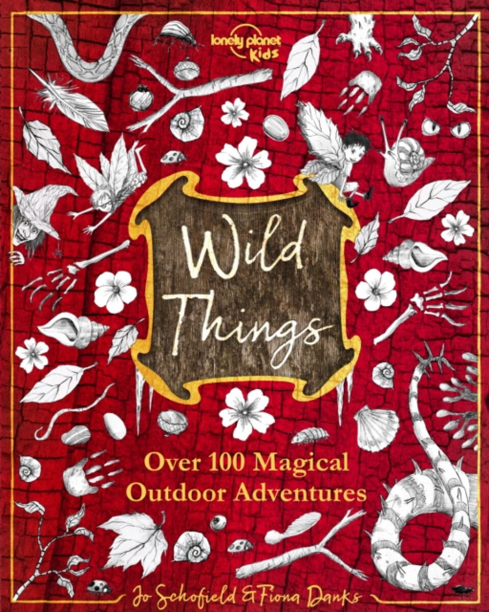 Kniha Wild Things