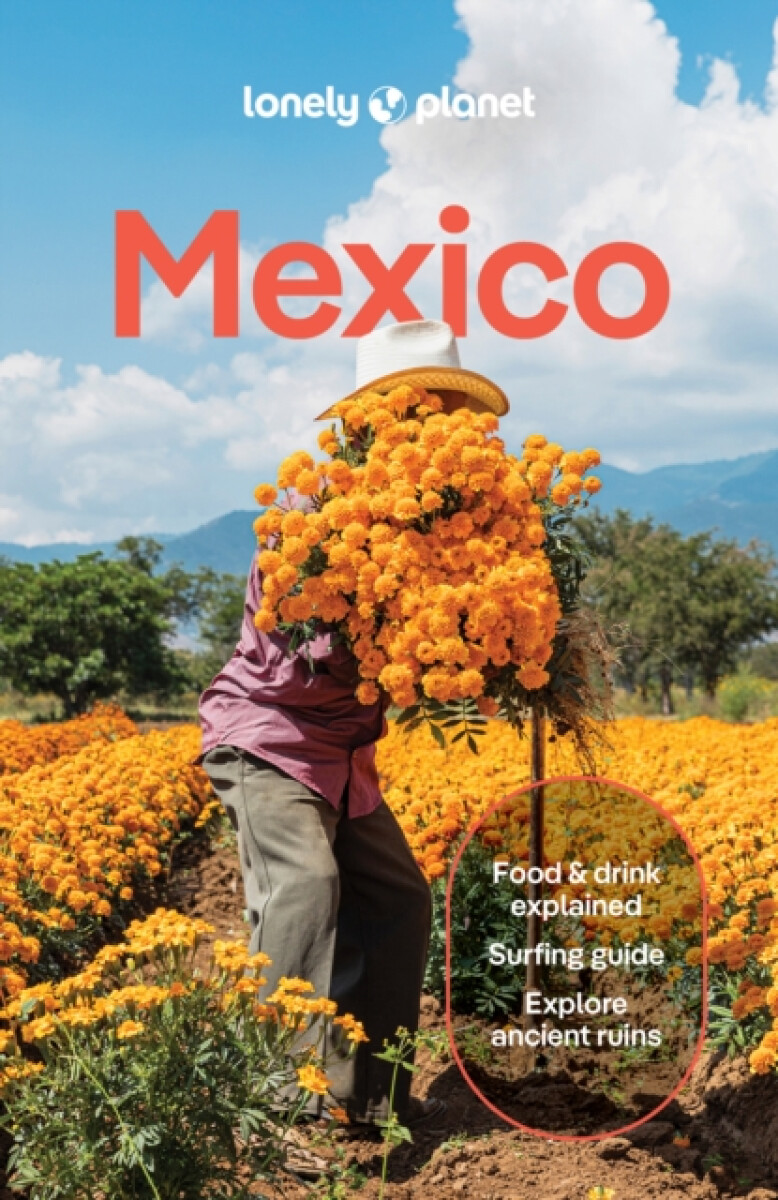 Lonely Planet Mexico - Regis St Louis, Brendan Sainsbury, Lonely Planet, Anna Kaminski, Joel Balsam, Nellie Huang, Liza Prado, John Hecht, Paul Stafford, Jennifer Fernandez Solano