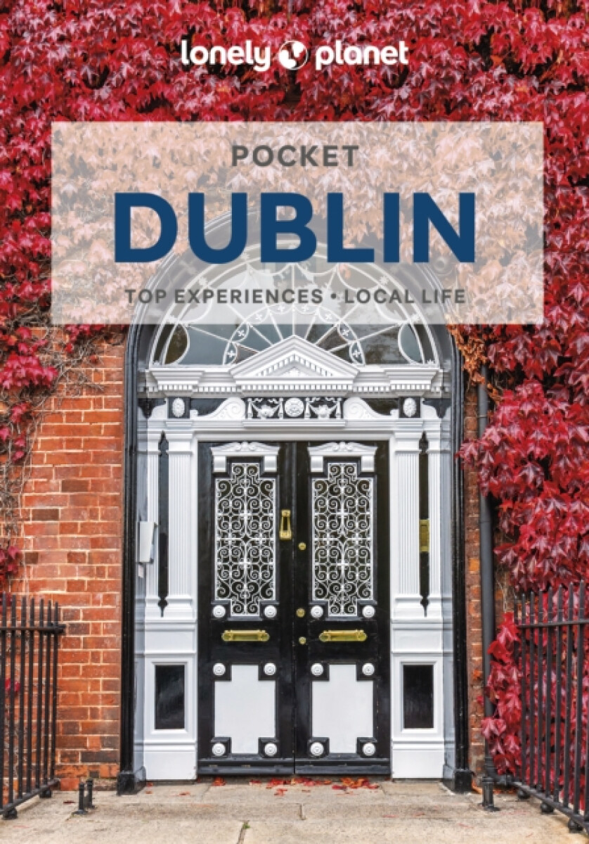 Kniha Lonely Planet Pocket Dublin